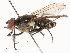  ( - CBG-B22940-D06)  @11 [ ] CreativeCommons - Attribution Share - Alike (2025) CBG Photography Group Centre for Biodiversity Genomics