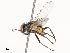  ( - CBG-B22940-E11)  @11 [ ] CreativeCommons - Attribution Share - Alike (2025) CBG Photography Group Centre for Biodiversity Genomics