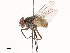  ( - CBG-B22940-E12)  @11 [ ] CreativeCommons - Attribution Share - Alike (2025) CBG Photography Group Centre for Biodiversity Genomics