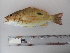  ( - CIFEFGB LRS-01)  @14 [ ] CreativeCommons - Attribution Non-Commercial Share-Alike (2014) Sadurudeen, N. CIFE