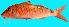  ( - CIFEFGB PI-01)  @13 [ ] CreativeCommons - Attribution Non-Commercial Share-Alike (2014) Sadurudeen, N. CIFE