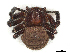  ( - 204-PT-VF4-T-22)  @11 [ ] CreativeCommons - Attribution Share-Alike (2024) CBG Photography Group Centre for Biodiversity Genomics