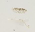  ( - R05COTOETCR-190)  @11 [ ] Copyright © (2019) Unspecified National Autonomous University of Honduras