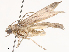  ( - CBG-B00487-E04)  @11 [ ] CreativeCommons - Attribution Share - Alike (2025) CBG Photography Group Centre for Biodiversity Genomics
