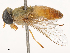  ( - CBG-B22917-F09)  @11 [ ] CreativeCommons - Attribution Share - Alike (2025) CBG Photography Group Centre for Biodiversity Genomics