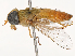  ( - CBG-B22917-F10)  @11 [ ] CreativeCommons - Attribution Share - Alike (2025) CBG Photography Group Centre for Biodiversity Genomics
