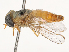  ( - CBG-B22917-F11)  @11 [ ] CreativeCommons - Attribution Share - Alike (2025) CBG Photography Group Centre for Biodiversity Genomics