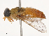  ( - CBG-B22917-F12)  @11 [ ] CreativeCommons - Attribution Share - Alike (2025) CBG Photography Group Centre for Biodiversity Genomics