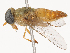  ( - CBG-B22917-G02)  @11 [ ] CreativeCommons - Attribution Share - Alike (2025) CBG Photography Group Centre for Biodiversity Genomics