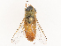  ( - CBG-B22920-E05)  @11 [ ] CreativeCommons - Attribution Share - Alike (2025) CBG Photography Group Centre for Biodiversity Genomics