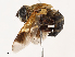  ( - CBG-B22921-H08)  @11 [ ] CreativeCommons - Attribution Share - Alike (2025) CBG Photography Group Centre for Biodiversity Genomics