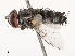  ( - CBG-B22935-B09)  @11 [ ] CreativeCommons - Attribution Share - Alike (2025) CBG Photography Group Centre for Biodiversity Genomics