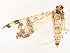  ( - CBG-B07469-B09)  @11 [ ] CreativeCommons - Attribution Share - Alike (2025) CBG Photography Group Centre for Biodiversity Genomics
