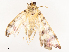 ( - CBG-B07469-B10)  @11 [ ] CreativeCommons - Attribution Share - Alike (2025) CBG Photography Group Centre for Biodiversity Genomics