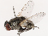  ( - CBG-B07470-A01)  @11 [ ] CreativeCommons - Attribution Share - Alike (2025) CBG Photography Group Centre for Biodiversity Genomics