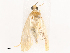  ( - CBG-B07605-H02)  @11 [ ] CreativeCommons - Attribution Share - Alike (2025) CBG Photography Group Centre for Biodiversity Genomics