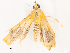  ( - CBG-B07605-H03)  @11 [ ] CreativeCommons - Attribution Share - Alike (2025) CBG Photography Group Centre for Biodiversity Genomics