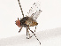  ( - CBG-B07453-F08)  @11 [ ] CreativeCommons - Attribution Share - Alike (2025) CBG Photography Group Centre for Biodiversity Genomics