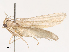  ( - CBG-B07476-A06)  @11 [ ] CreativeCommons - Attribution Share - Alike (2025) CBG Photography Group Centre for Biodiversity Genomics
