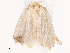  ( - CBG-B14787-F01)  @11 [ ] CreativeCommons - Attribution Share - Alike (2025) CBG Photography Group Centre for Biodiversity Genomics