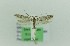  ( - 0114PF)  @11 [ ] CreativeCommons - Attribution Non-Commercial Share-Alike (2018) Per Falck Zoologisk Museum Copenhagen