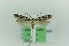 ( - 0126PF)  @11 [ ] CreativeCommons - Attribution Non-Commercial Share-Alike (2018) Per Falck Zoologisk Museum Copenhagen