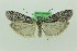  ( - 0190PF)  @11 [ ] CreativeCommons - Attribution Non-Commercial Share-Alike (2018) Per Falck Zoologisk Museum Copenhagen