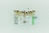  ( - 0201PF)  @11 [ ] CreativeCommons - Attribution Non-Commercial Share-Alike (2018) Per Falck Zoologisk Museum