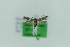  ( - 0711PF)  @11 [ ] by-nc-sa (2018) Per Falck Zoologisk Museum Copenhagen
