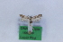  ( - 1662PF)  @11 [ ] by-nc-sa (2018) Per Falck Zoologisk Museum Copenhagen