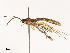  ( - CBG-B07476-D08)  @11 [ ] CreativeCommons - Attribution Share - Alike (2025) CBG Photography Group Centre for Biodiversity Genomics