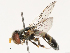  ( - CBG-B21612-D12)  @11 [ ] CreativeCommons - Attribution Share - Alike (2025) CBG Photography Group Centre for Biodiversity Genomics