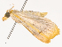  ( - CBG-B21613-B05)  @11 [ ] CreativeCommons - Attribution Share - Alike (2025) CBG Photography Group Centre for Biodiversity Genomics