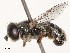  ( - CBG-B21617-F11)  @11 [ ] CreativeCommons - Attribution Share - Alike (2025) CBG Photography Group Centre for Biodiversity Genomics