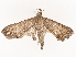  ( - CBG-B21798-G06)  @11 [ ] CreativeCommons - Attribution Share - Alike (2025) CBG Photography Group Centre for Biodiversity Genomics