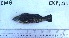  ( - OXPI-01)  @12 [ ] Unspecified (default): All Rights Reserved  Unspecified Unspecified