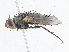  ( - CBG-A06235-C04)  @11 [ ] CreativeCommons - Attribution Share - Alike (2023) CBG Photography Group Centre for Biodiversity Genomics