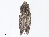  ( - CBG-A07068-D09)  @11 [ ] CreativeCommons - Attribution Share - Alike (2023) CBG Photography Group Centre for Biodiversity Genomics
