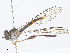  ( - CBG-A07069-F09)  @11 [ ] CreativeCommons - Attribution Share - Alike (2023) CBG Photography Group Centre for Biodiversity Genomics