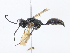  ( - CBG-A08752-C08)  @11 [ ] CreativeCommons - Attribution Share-Alike (2023) CBG Photography Group Centre for Biodiversity Genomics