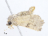 ( - CBG-A08754-B05)  @11 [ ] CreativeCommons - Attribution Share - Alike (2023) CBG Photography Group Centre for Biodiversity Genomics