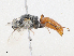  ( - CBG-A08756-E03)  @11 [ ] CreativeCommons - Attribution Share - Alike (2023) CBG Photography Group Centre for Biodiversity Genomics