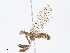  ( - CBG-A08757-A09)  @11 [ ] CreativeCommons - Attribution Share - Alike (2023) CBG Photography Group Centre for Biodiversity Genomics