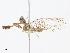  ( - CBG-A08757-A10)  @11 [ ] CreativeCommons - Attribution Share - Alike (2023) CBG Photography Group Centre for Biodiversity Genomics