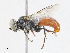  ( - CBG-A10757-D01)  @11 [ ] CreativeCommons - Attribution Share - Alike (2023) CBG Photography Group Centre for Biodiversity Genomics