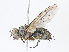  ( - CBG-A10759-B09)  @11 [ ] CreativeCommons - Attribution Share - Alike (2023) CBG Photography Group Centre for Biodiversity Genomics