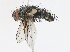  ( - CBG-A10759-E02)  @11 [ ] CreativeCommons - Attribution Share - Alike (2023) CBG Photography Group Centre for Biodiversity Genomics
