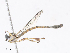 ( - CBG-A10759-G10)  @11 [ ] CreativeCommons - Attribution Share - Alike (2023) CBG Photography Group Centre for Biodiversity Genomics