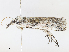  ( - CBG-A10760-F06)  @11 [ ] CreativeCommons - Attribution Share - Alike (2023) CBG Photography Group Centre for Biodiversity Genomics