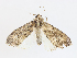  ( - CBG-A10761-A02)  @11 [ ] CreativeCommons - Attribution Share - Alike (2023) CBG Photography Group Centre for Biodiversity Genomics